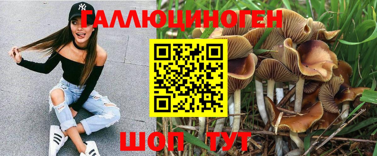 Рыбинск  Псилоцибиновые грибы мухоморы  закладка  Псилоцибиновые грибы прущие грибы  Вход с VPN 
